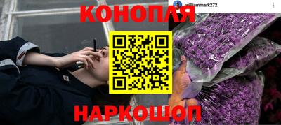 трава Уссурийск