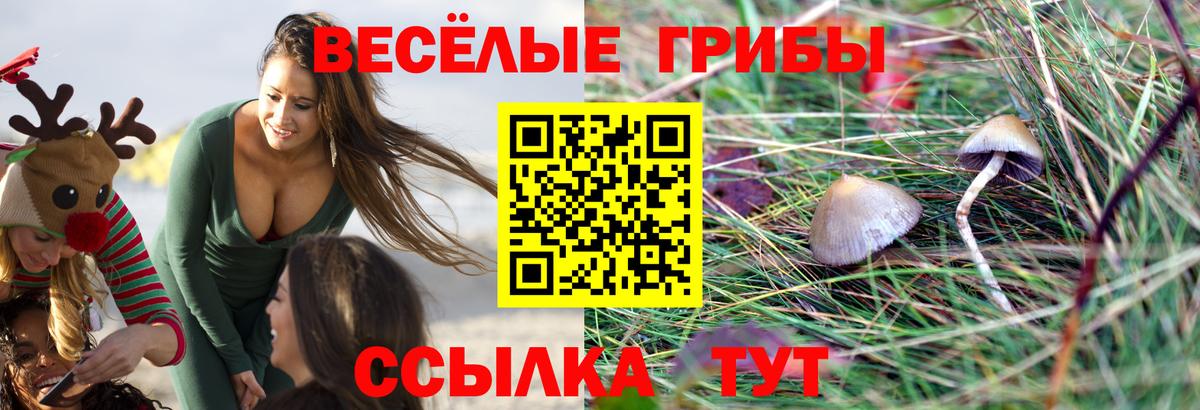 Псилоцибиновые грибы GOLDEN TEACHER  Вход с VPN  Псилоцибиновые грибы мухоморы  Ликино-Дулёво 