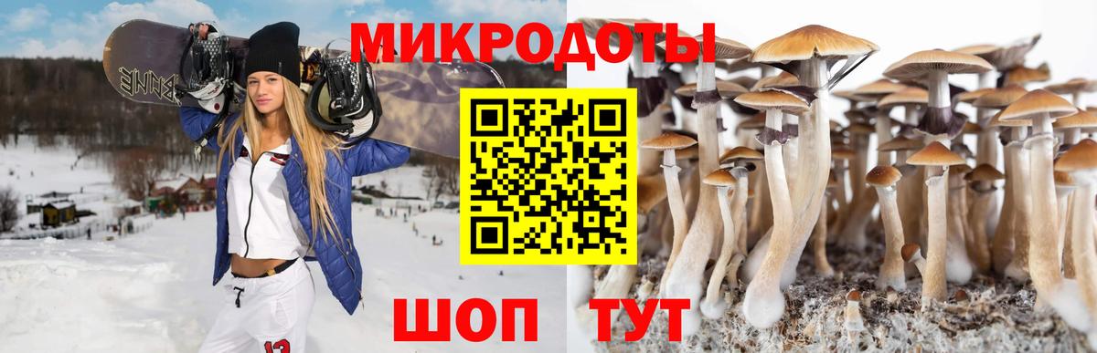 Псилоцибиновые грибы мухоморы Ликино-Дулёво
